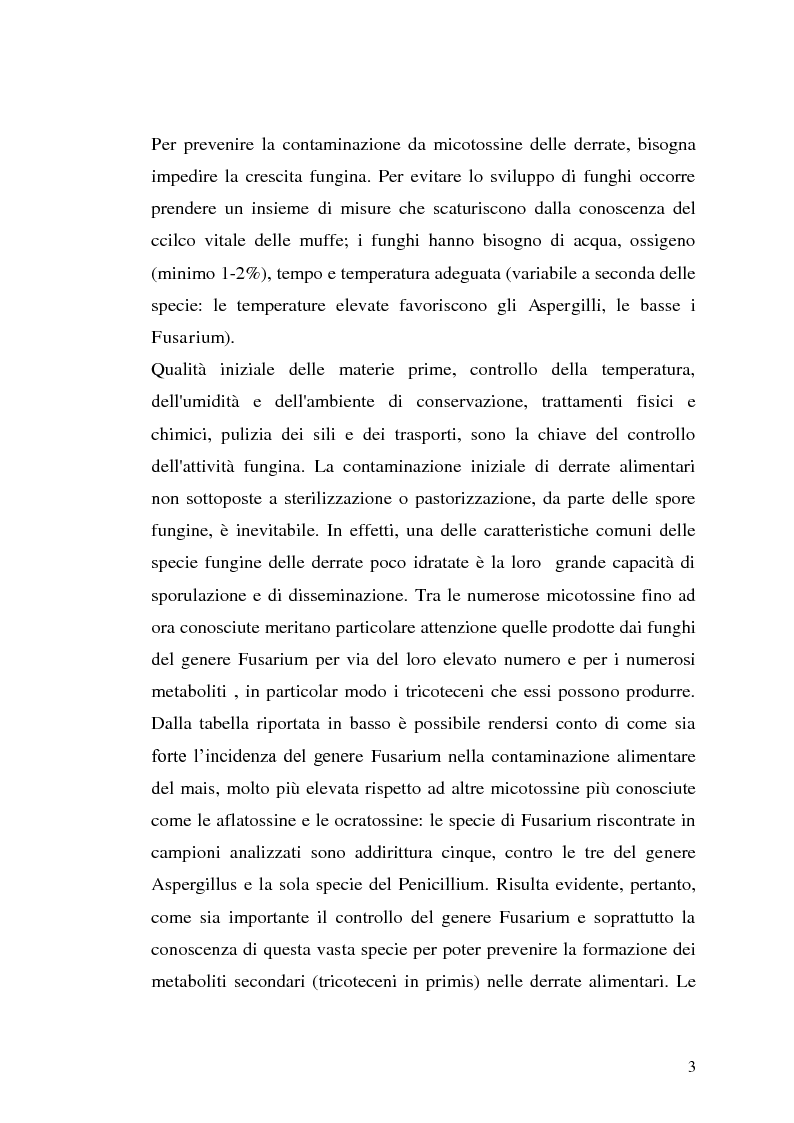 Anteprima della tesi: Fusariotossine: Tossicità alimentare ed ambientale, Pagina 4