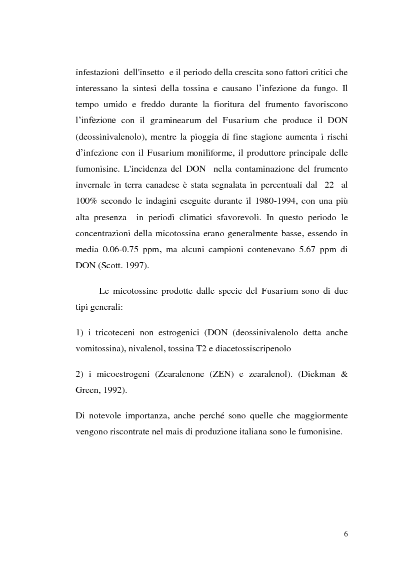 Anteprima della tesi: Fusariotossine: Tossicità alimentare ed ambientale, Pagina 7