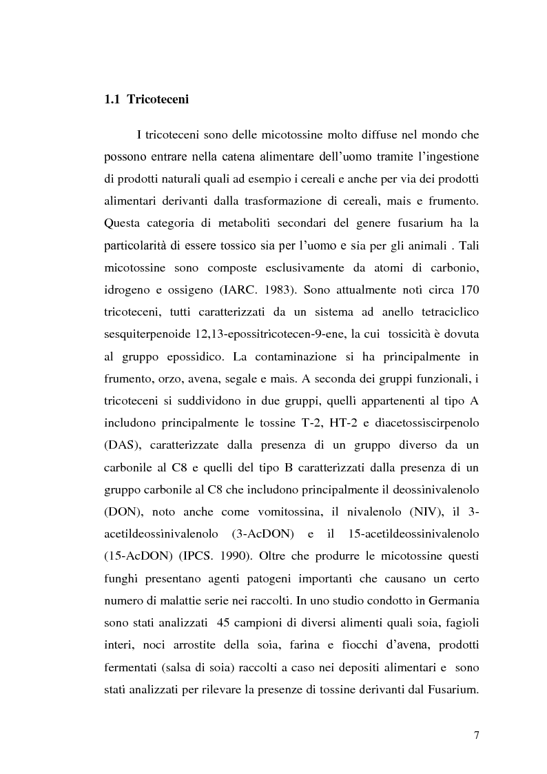 Anteprima della tesi: Fusariotossine: Tossicità alimentare ed ambientale, Pagina 8
