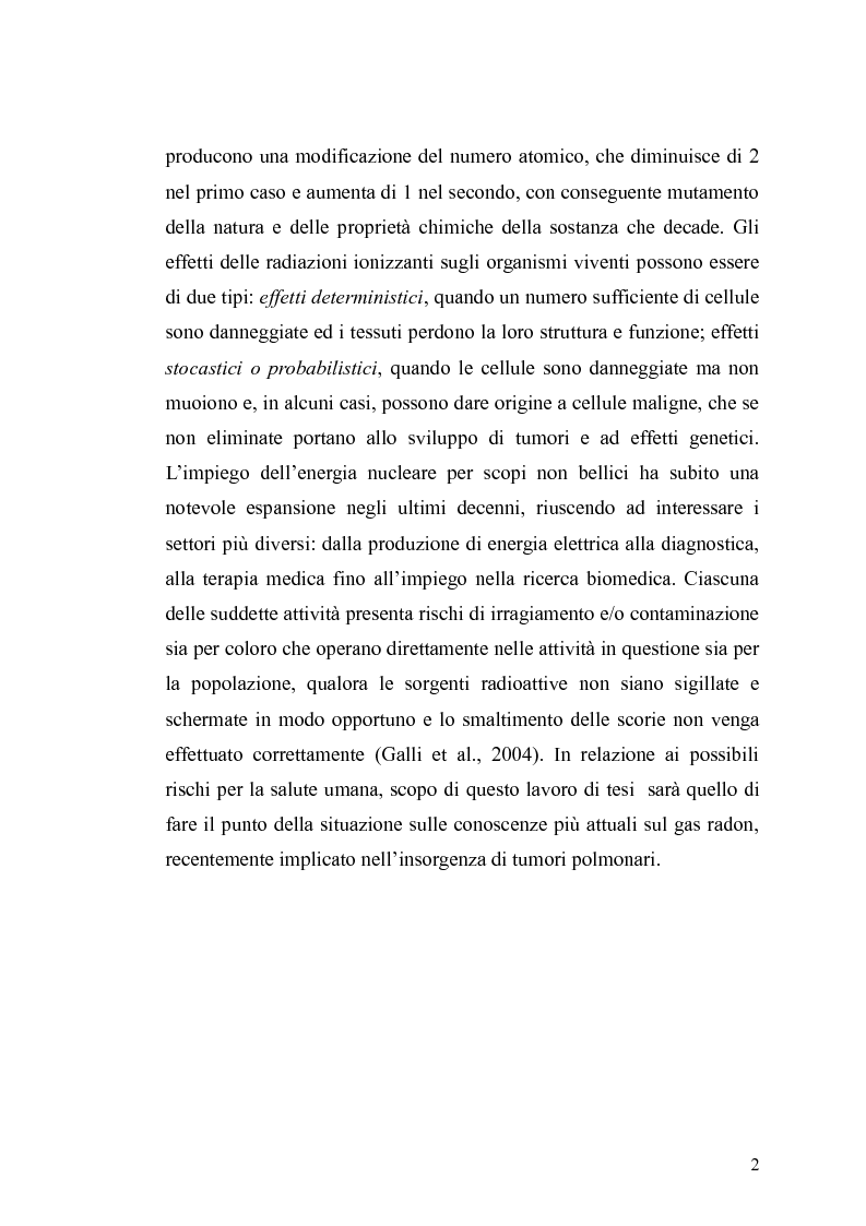 Anteprima della tesi: Tossicità del Radon, Pagina 3