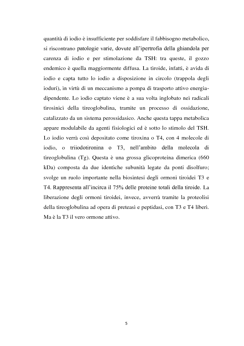 Anteprima della tesi: Screening delle patologie tiroidee nel territorio Sannita-Irpino e monitoraggio del loro decorso, Pagina 4