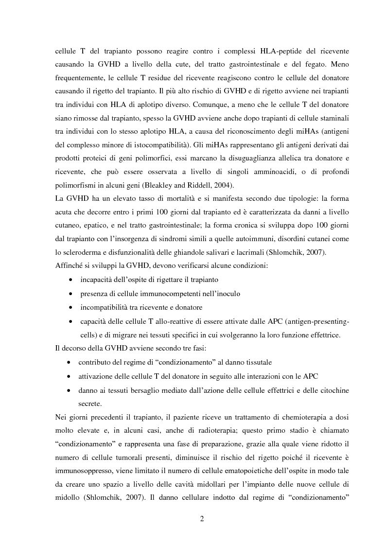 Anteprima della tesi: Allestimento di un modello di malattia da trapianto contro l'ospite (Graft versus host disease), Pagina 3