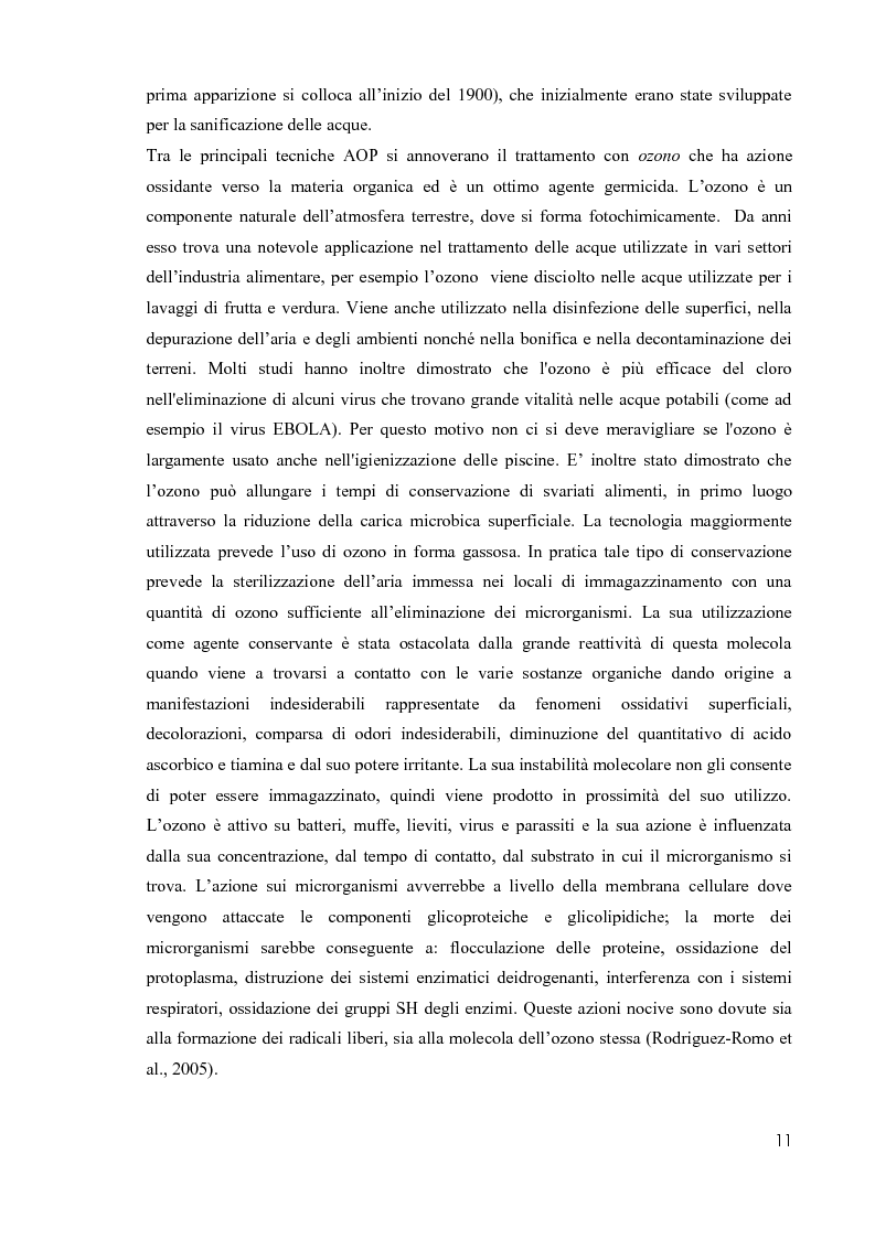 Anteprima della tesi: Primi studi nell'applicazione della tecnologia al plasma nella sterilizzazione di alimenti contaminati da funghi e batteri, Pagina 10