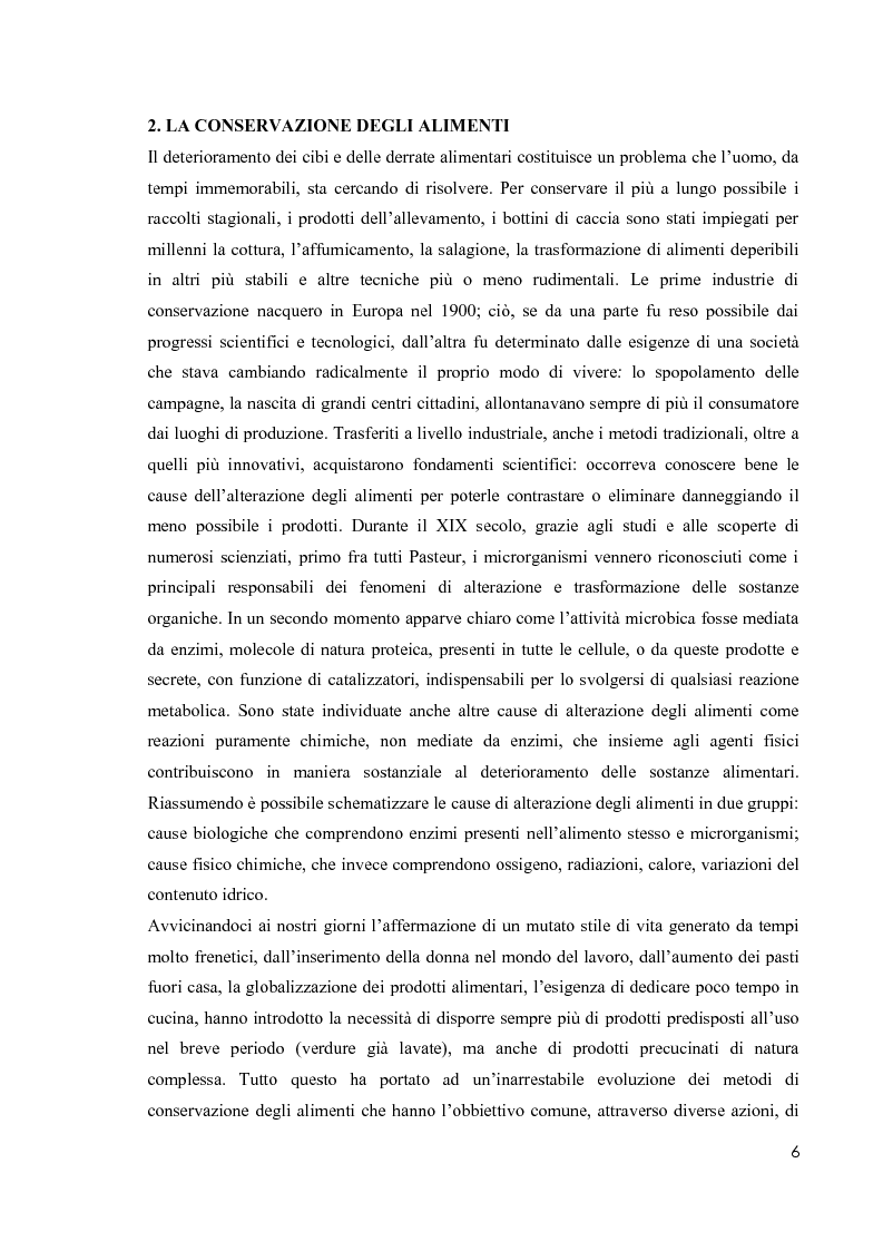 Anteprima della tesi: Primi studi nell'applicazione della tecnologia al plasma nella sterilizzazione di alimenti contaminati da funghi e batteri, Pagina 5
