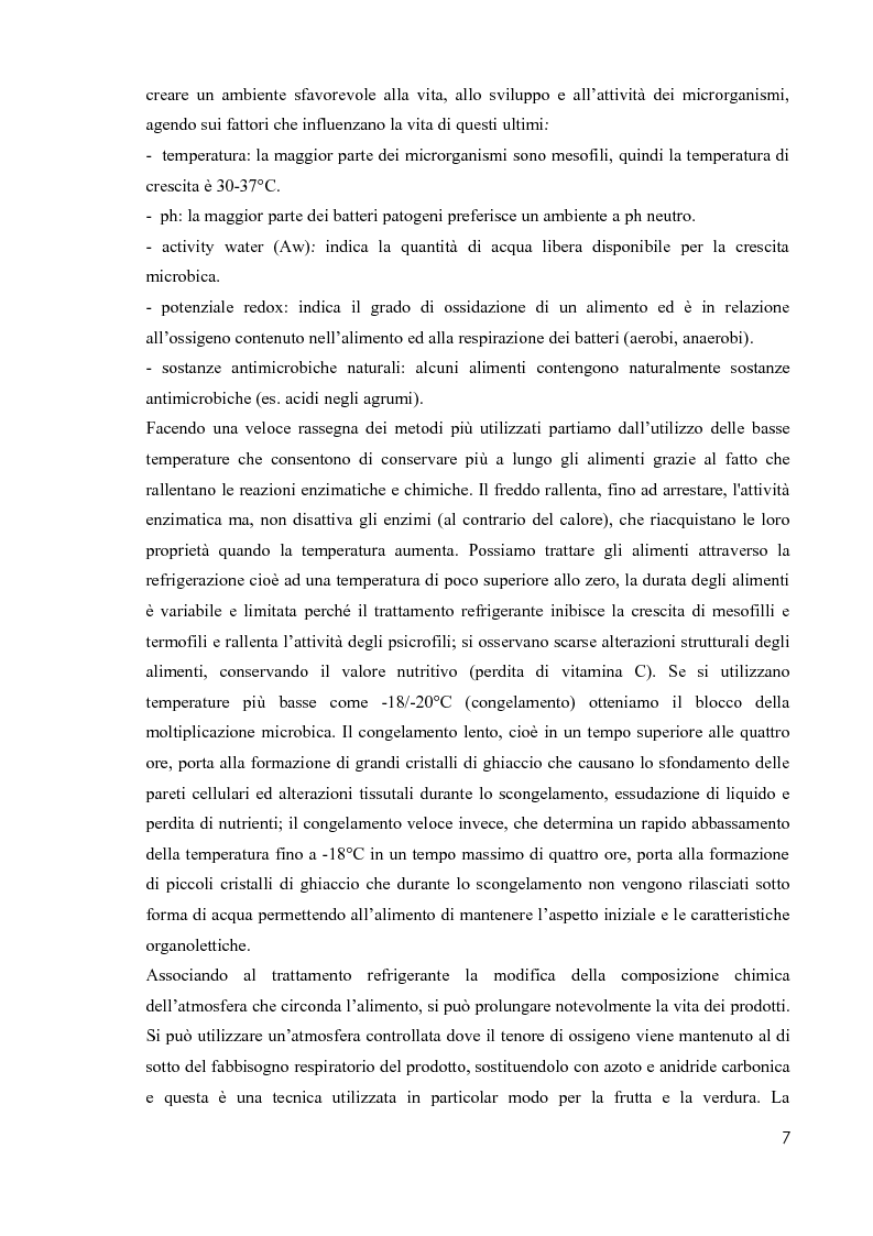 Anteprima della tesi: Primi studi nell'applicazione della tecnologia al plasma nella sterilizzazione di alimenti contaminati da funghi e batteri, Pagina 6