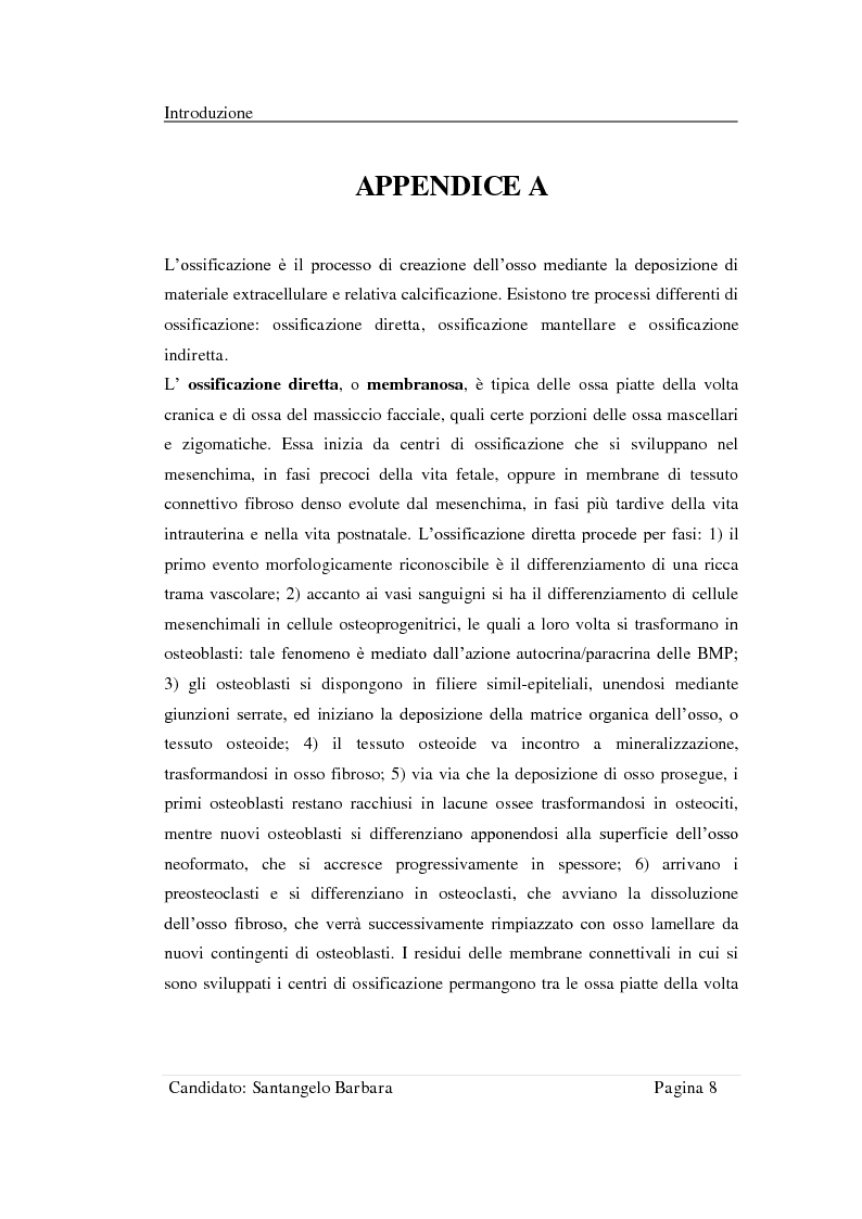 Anteprima della tesi: Studio della stabilità primaria di perni dentali innovativi inseriti con tecnologia Piezosurgery, Pagina 6