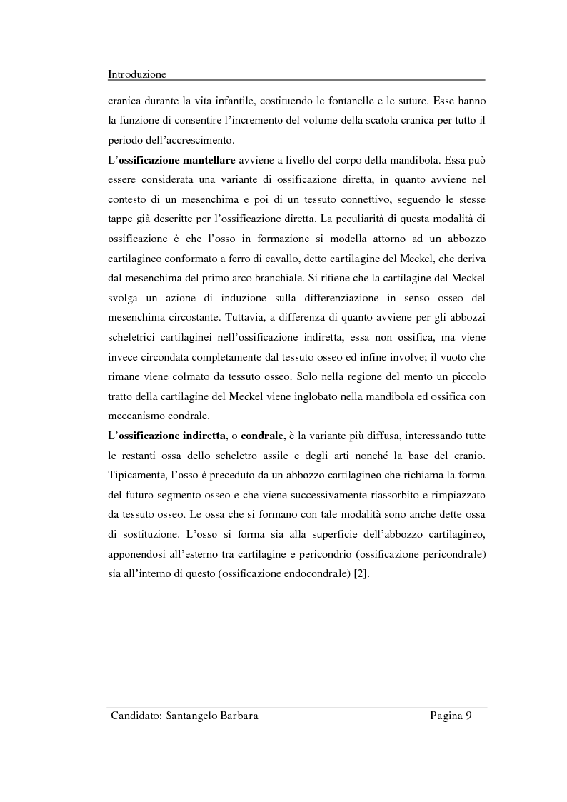 Anteprima della tesi: Studio della stabilità primaria di perni dentali innovativi inseriti con tecnologia Piezosurgery, Pagina 7