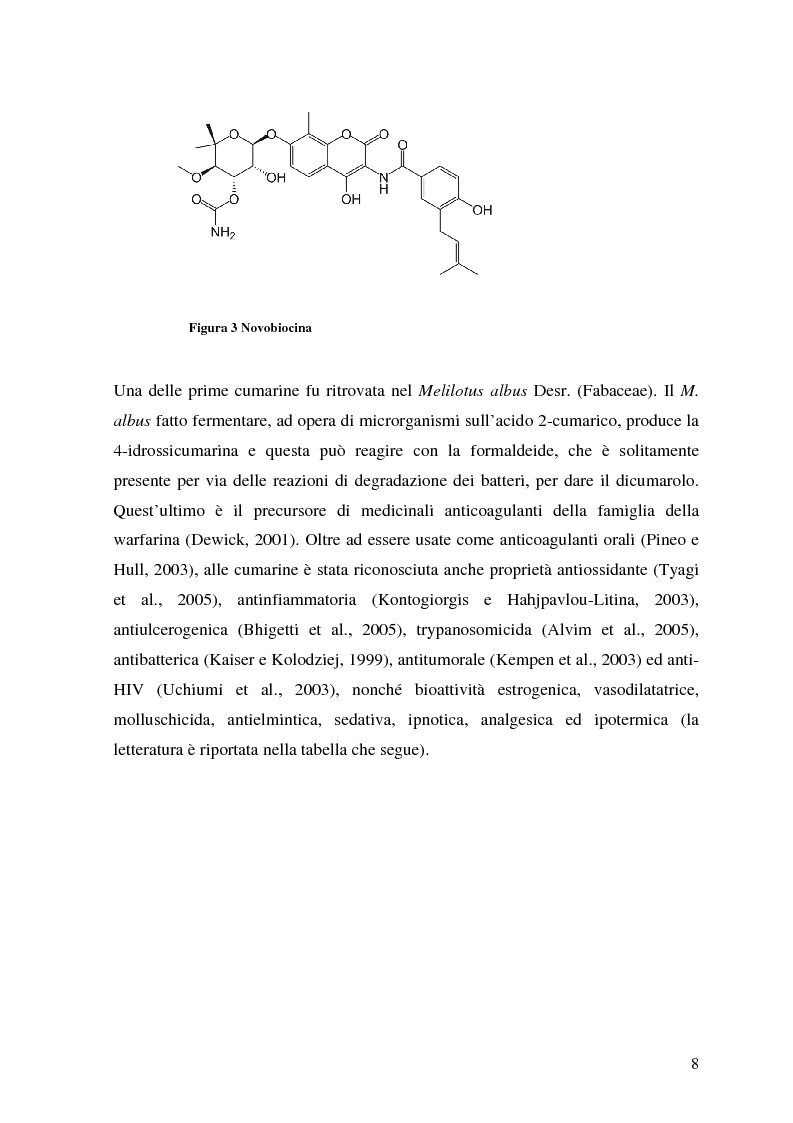 Anteprima della tesi: Attività antifungina di derivati cumarinici estratti da Magydaris pastinacea nei confronti di Candida albicans, Pagina 3