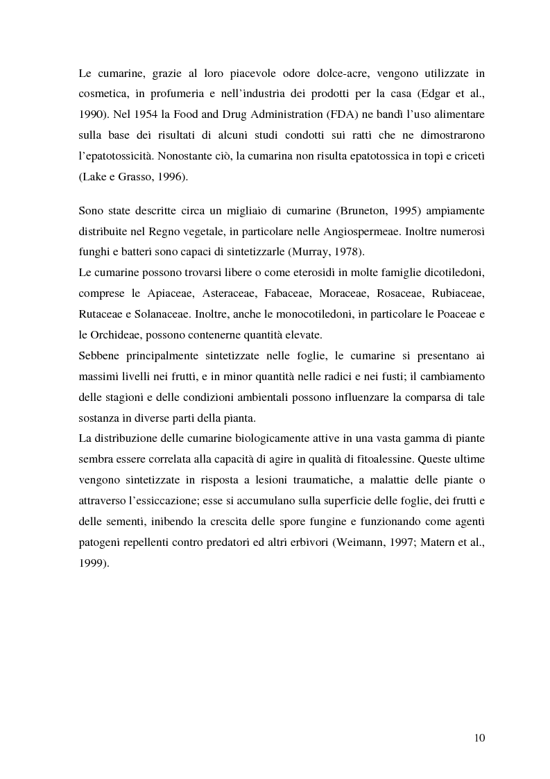 Anteprima della tesi: Attività antifungina di derivati cumarinici estratti da Magydaris pastinacea nei confronti di Candida albicans, Pagina 5