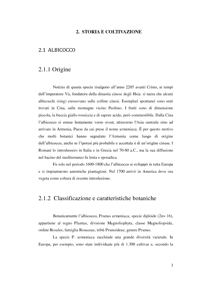 Anteprima della tesi: Comportamento vegeto-produttivo di diverse varietà di albicocco e nashi in Andalusia, Pagina 4