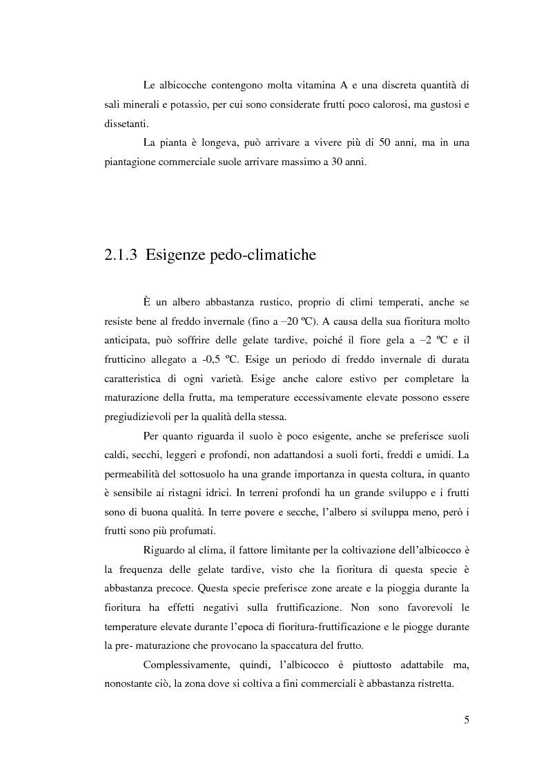 Anteprima della tesi: Comportamento vegeto-produttivo di diverse varietà di albicocco e nashi in Andalusia, Pagina 6