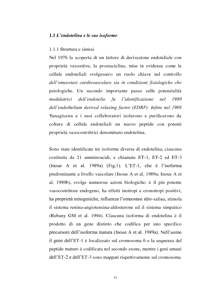 Anteprima della tesi: Endotelina e invecchiamento: caratterizzazione dei recettori cardiaci dell’endotelina in funzione dell’età in un modello sperimentale animale, Pagina 3