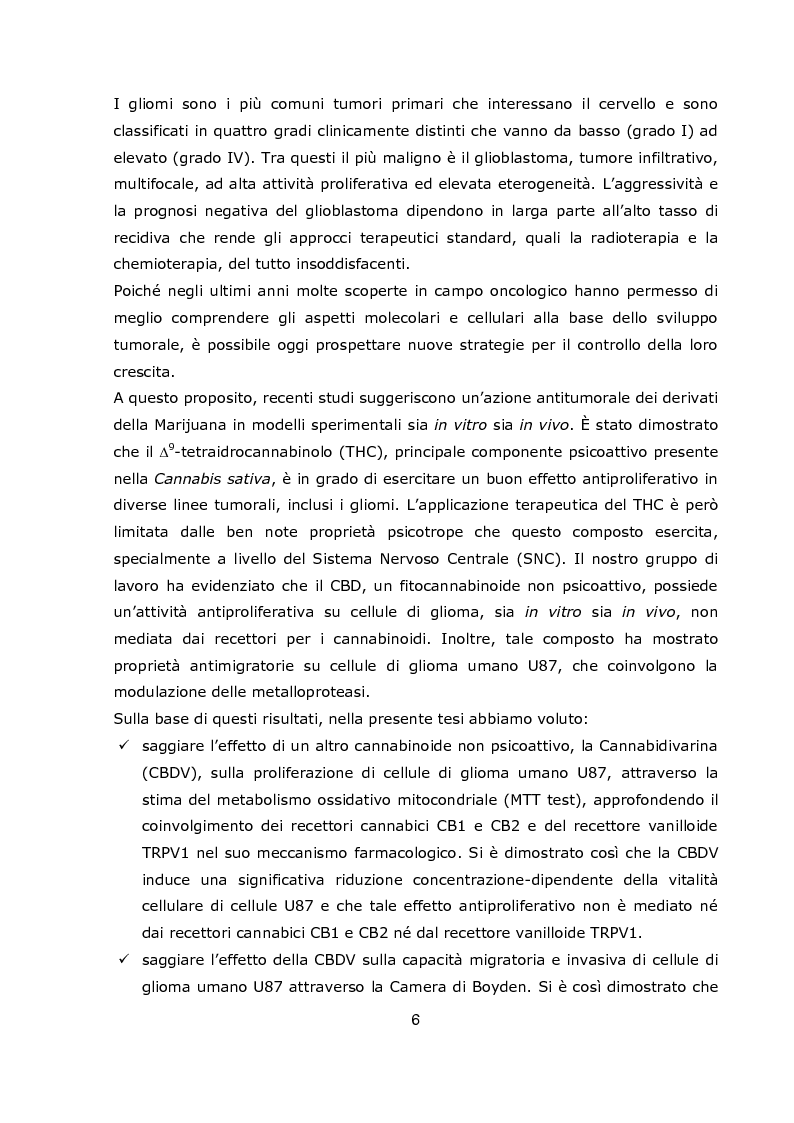 Anteprima della tesi: Effetto della Cannabidivarina, componente non psicoattiva della marijuana, sulla proliferazione, migrazione e invasione di una linea di glioma U87, Pagina 3