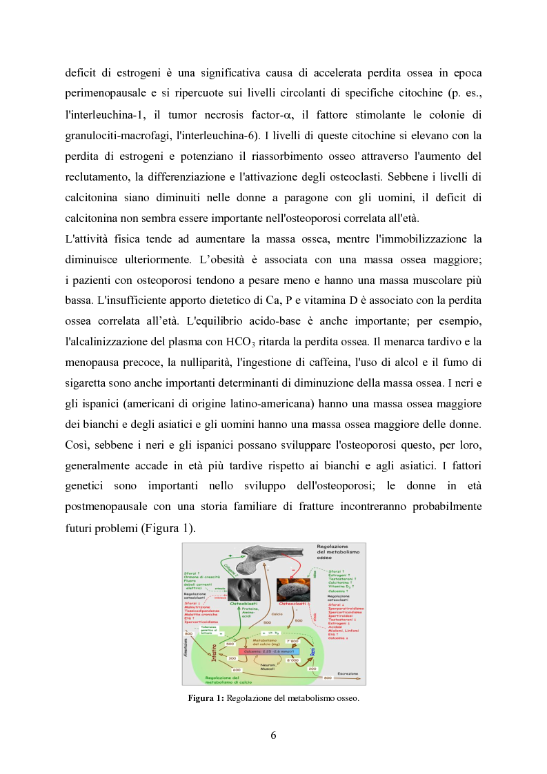 Anteprima della tesi: Ultrasonografia quantitativa falangea nella valutazione della familiarità dell’osteoporosi in pazienti con fratture prossimali di collo di femore, Pagina 3