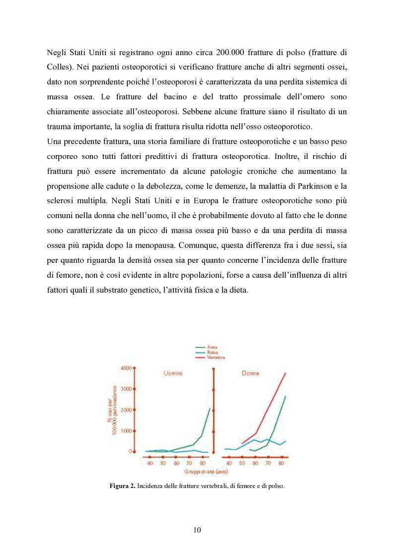 Anteprima della tesi: Ultrasonografia quantitativa falangea nella valutazione della familiarità dell’osteoporosi in pazienti con fratture prossimali di collo di femore, Pagina 7