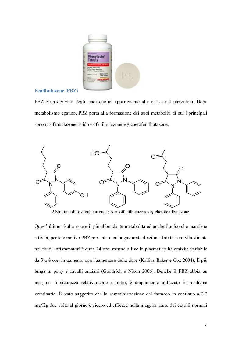 Anteprima della tesi: Determinazione quantitativa di fenilbutazone e flunixin meglumina in plasma equino tramite un sensore elettrochimico accoppiato a estrazione in fase solida con polimeri a stampo molecolare, Pagina 6