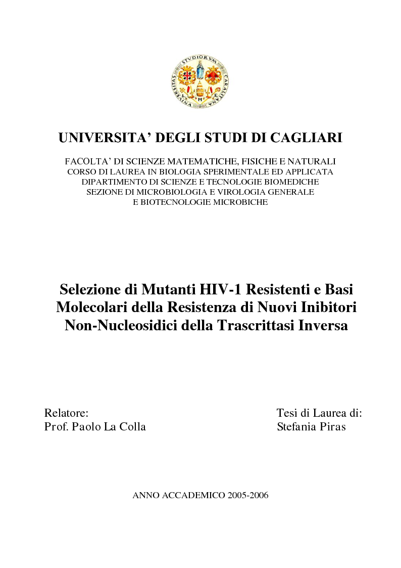 Anteprima della tesi: Selezione di Mutanti HIV-1 Resistenti e Basi Molecolari della Resistenza di Nuovi Inibitori Non-Nucleosidici della Trascrittasi Inversa, Pagina 1