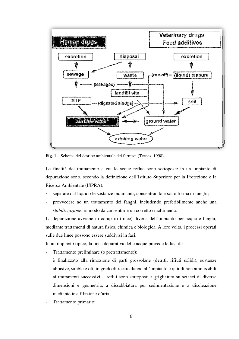 Anteprima della tesi: Effetto di alcuni farmaci per uso umano sulla qualità ecosistemica del Fiume Arbia (SI), Pagina 4