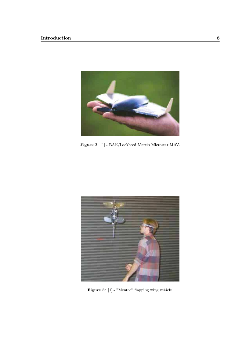 Anteprima della tesi: Force measurements and cross-flow estimation on a flapping bird-like airfoil, Pagina 3