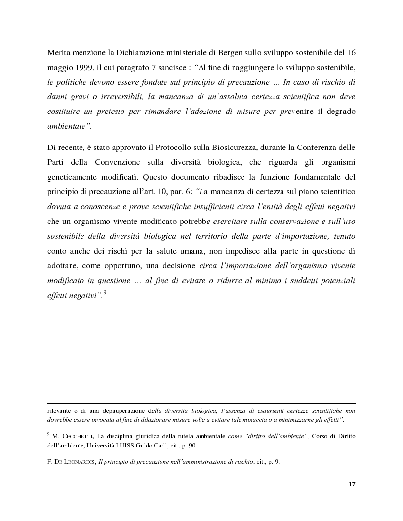 Anteprima della tesi: La decisione precauzionale tra normazione, amministrazione e giurisdizione, Pagina 6
