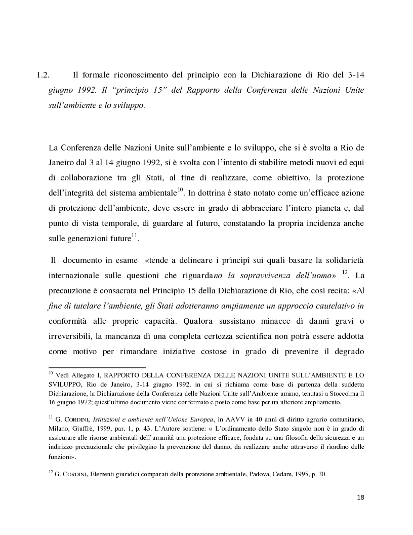 Anteprima della tesi: La decisione precauzionale tra normazione, amministrazione e giurisdizione, Pagina 7