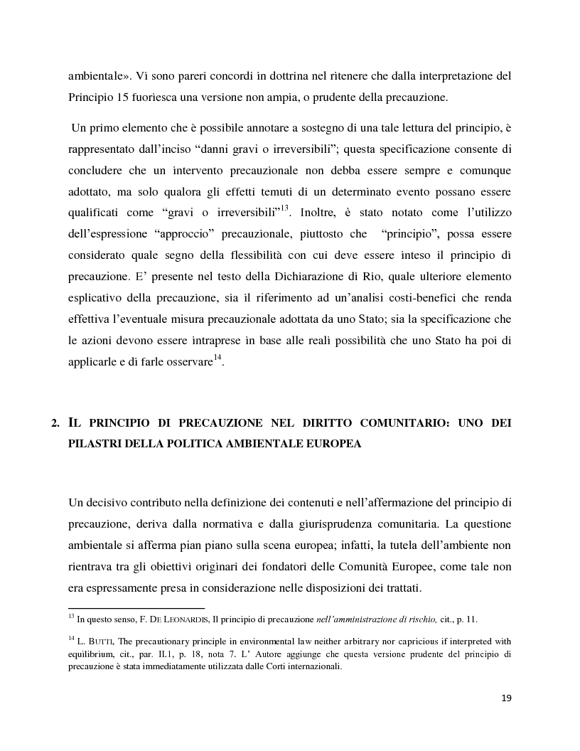 Anteprima della tesi: La decisione precauzionale tra normazione, amministrazione e giurisdizione, Pagina 8