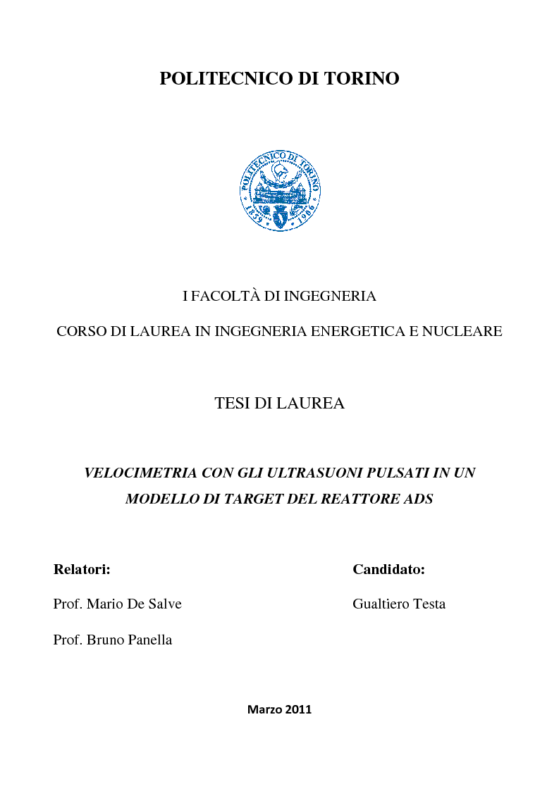 Anteprima della tesi: Velocimetria con gli ultrasuoni pulsati in un modello di target del reattore ADS, Pagina 1
