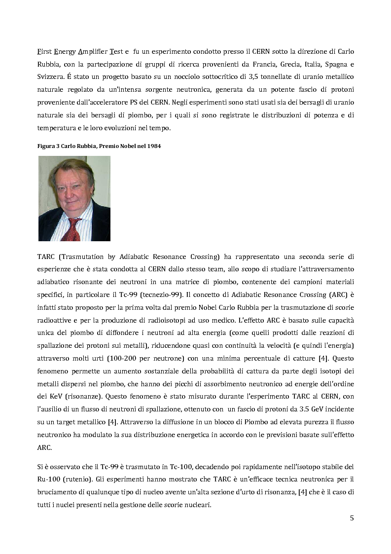 Anteprima della tesi: Velocimetria con gli ultrasuoni pulsati in un modello di target del reattore ADS, Pagina 4