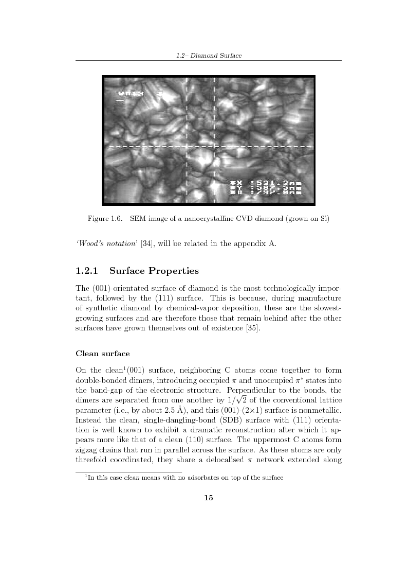 Anteprima della tesi: Study and characterization of diamond surface for biosensoring applications, Pagina 12