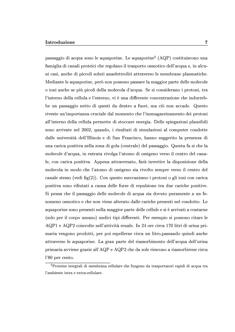Anteprima della tesi: Analisi degli effetti di confinamento tramite dinamica molecolare, Pagina 5