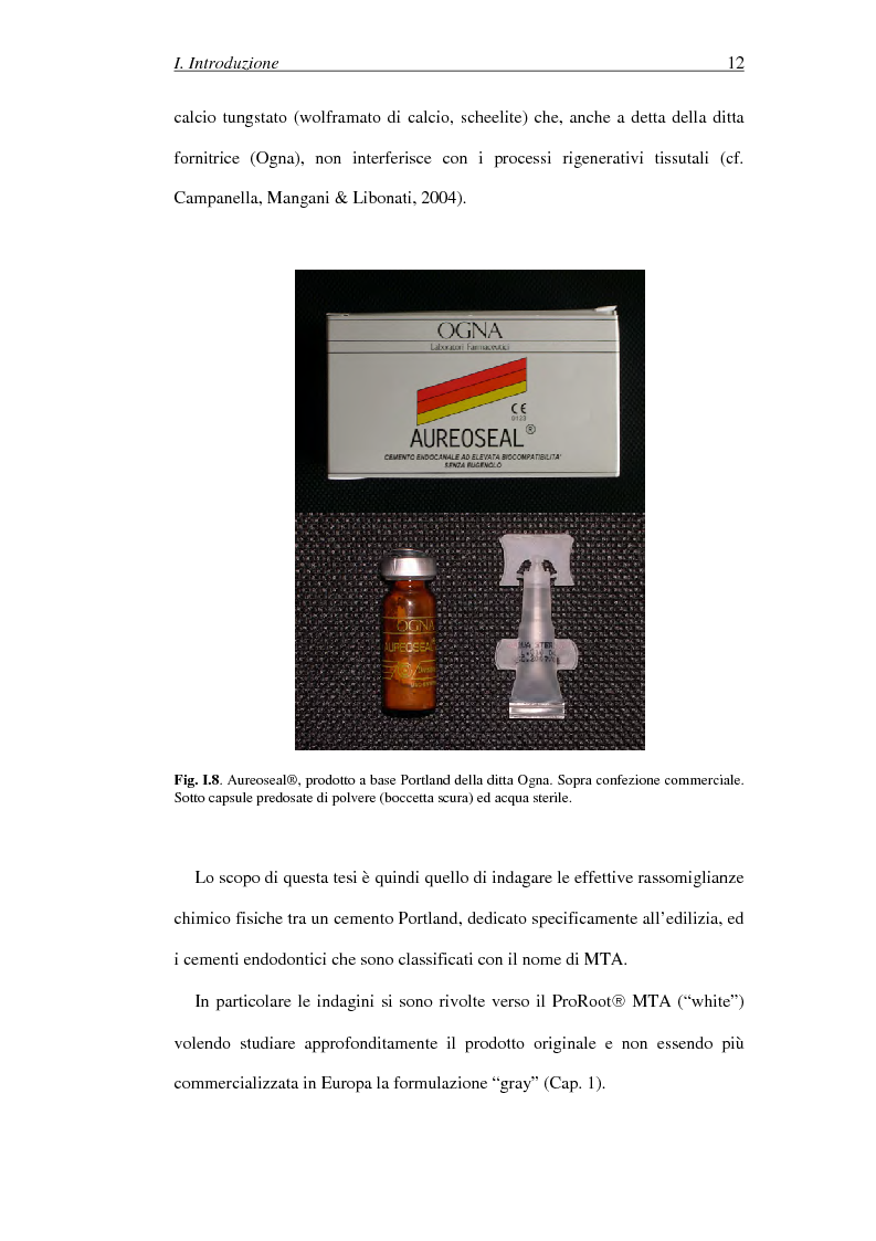 Anteprima della tesi: Il Mineral Trioxide Aggregate: analisi chimico-fisica, batteriologica e applicazioni cliniche, Pagina 10