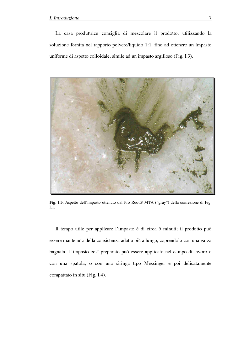 Anteprima della tesi: Il Mineral Trioxide Aggregate: analisi chimico-fisica, batteriologica e applicazioni cliniche, Pagina 5
