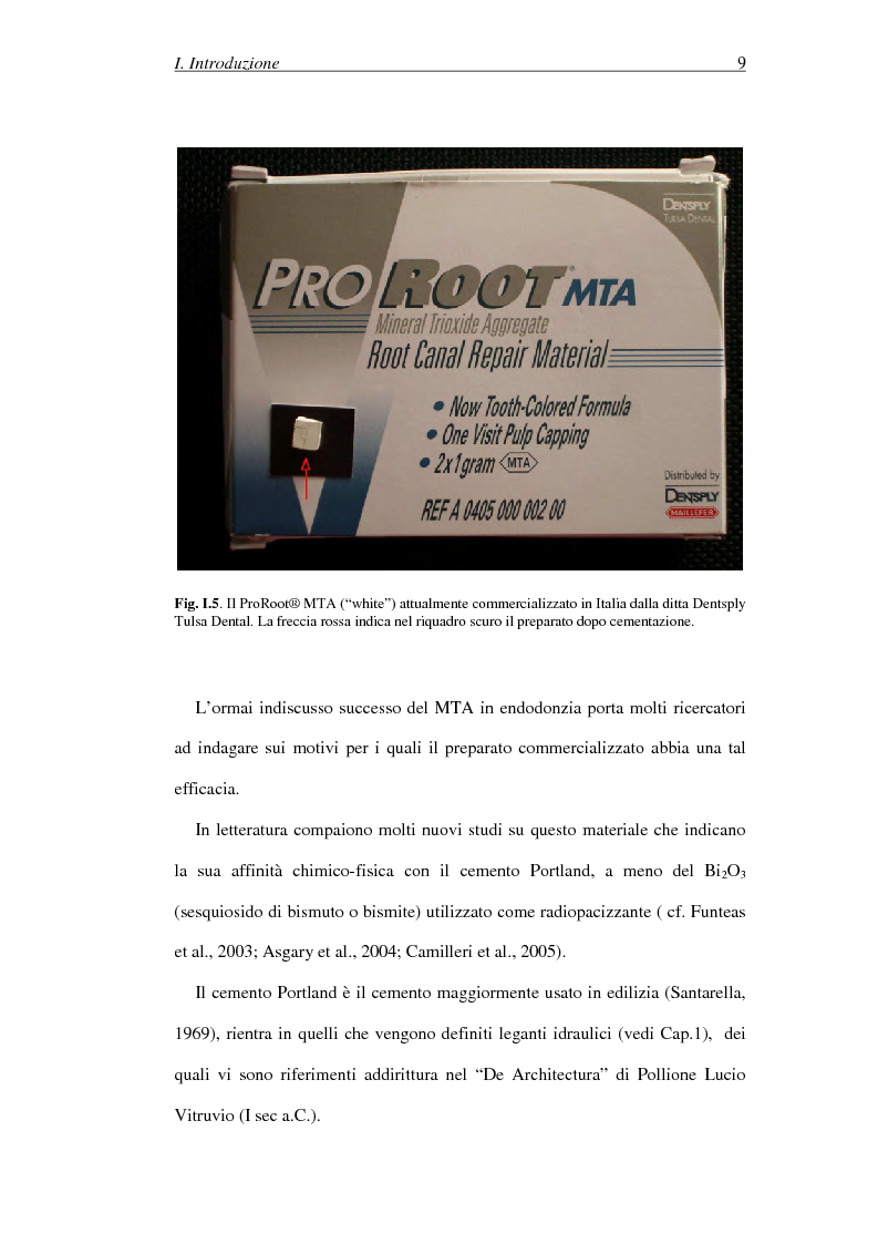 Anteprima della tesi: Il Mineral Trioxide Aggregate: analisi chimico-fisica, batteriologica e applicazioni cliniche, Pagina 7