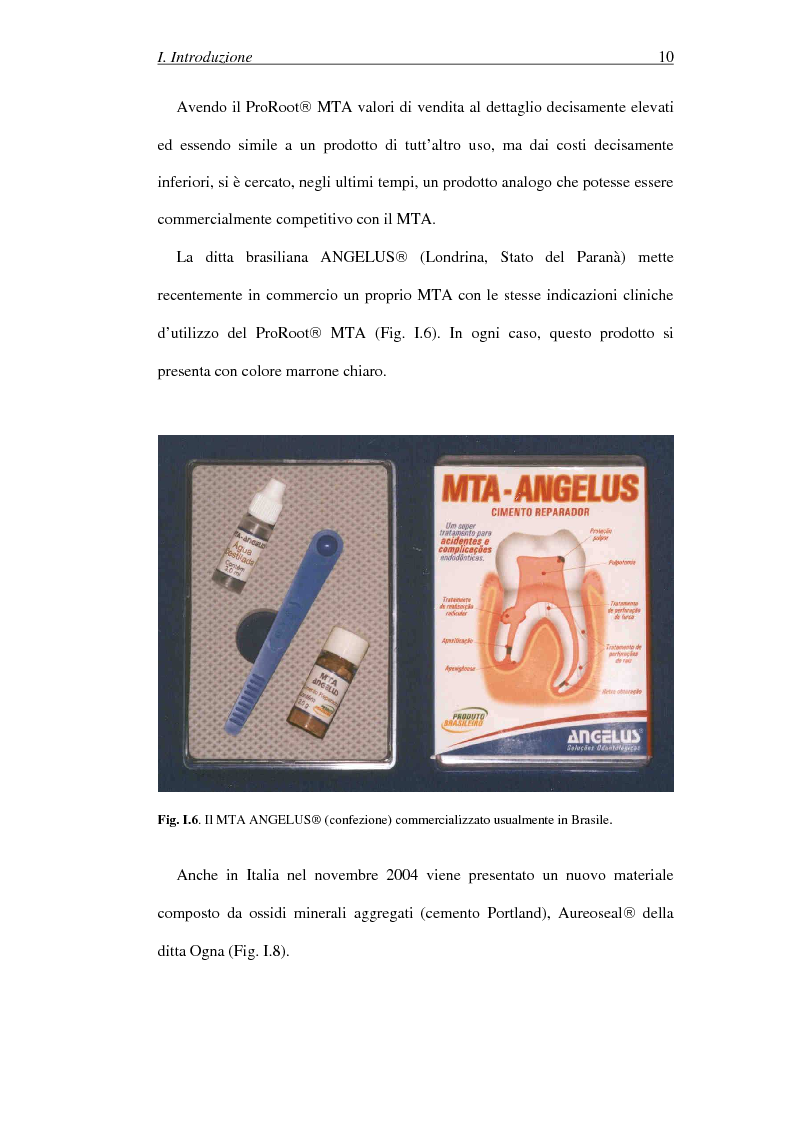Anteprima della tesi: Il Mineral Trioxide Aggregate: analisi chimico-fisica, batteriologica e applicazioni cliniche, Pagina 8