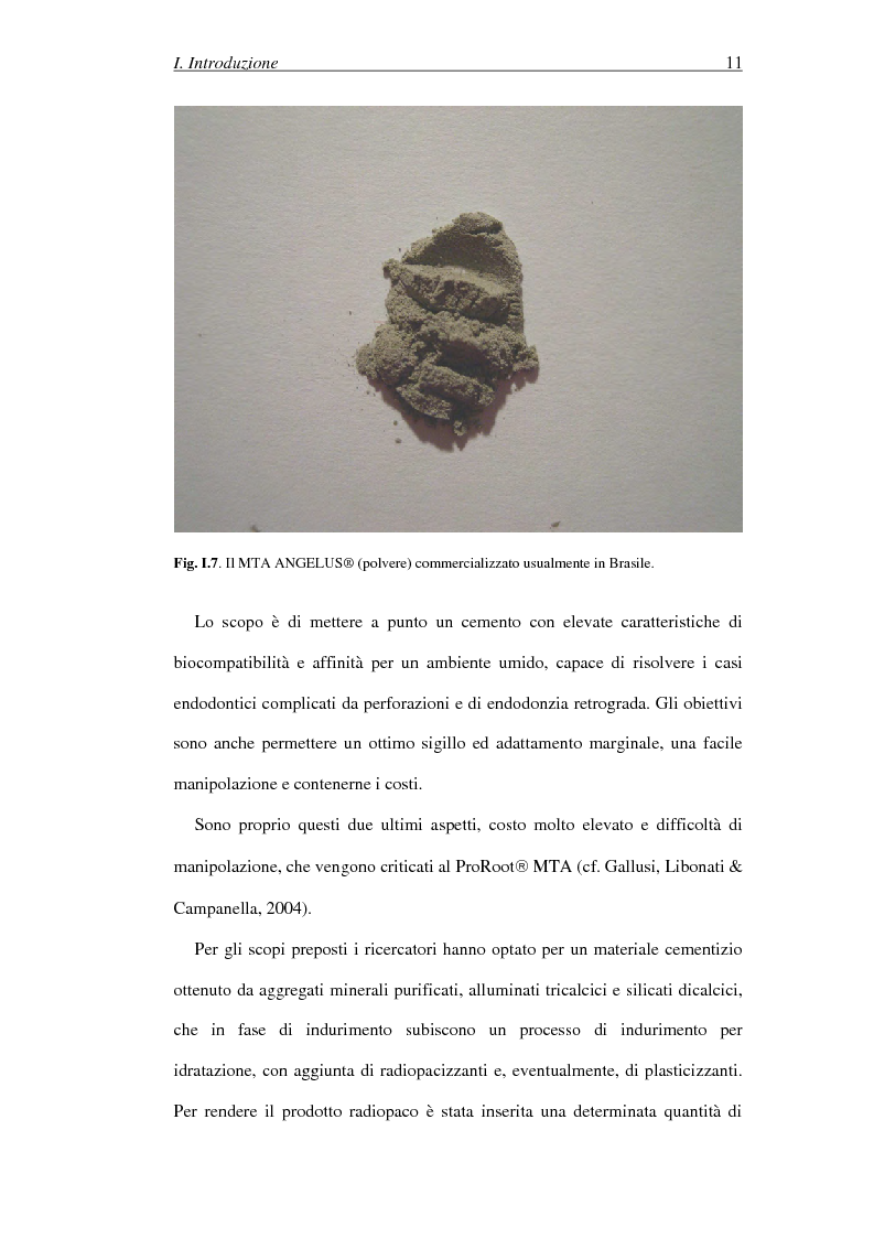 Anteprima della tesi: Il Mineral Trioxide Aggregate: analisi chimico-fisica, batteriologica e applicazioni cliniche, Pagina 9