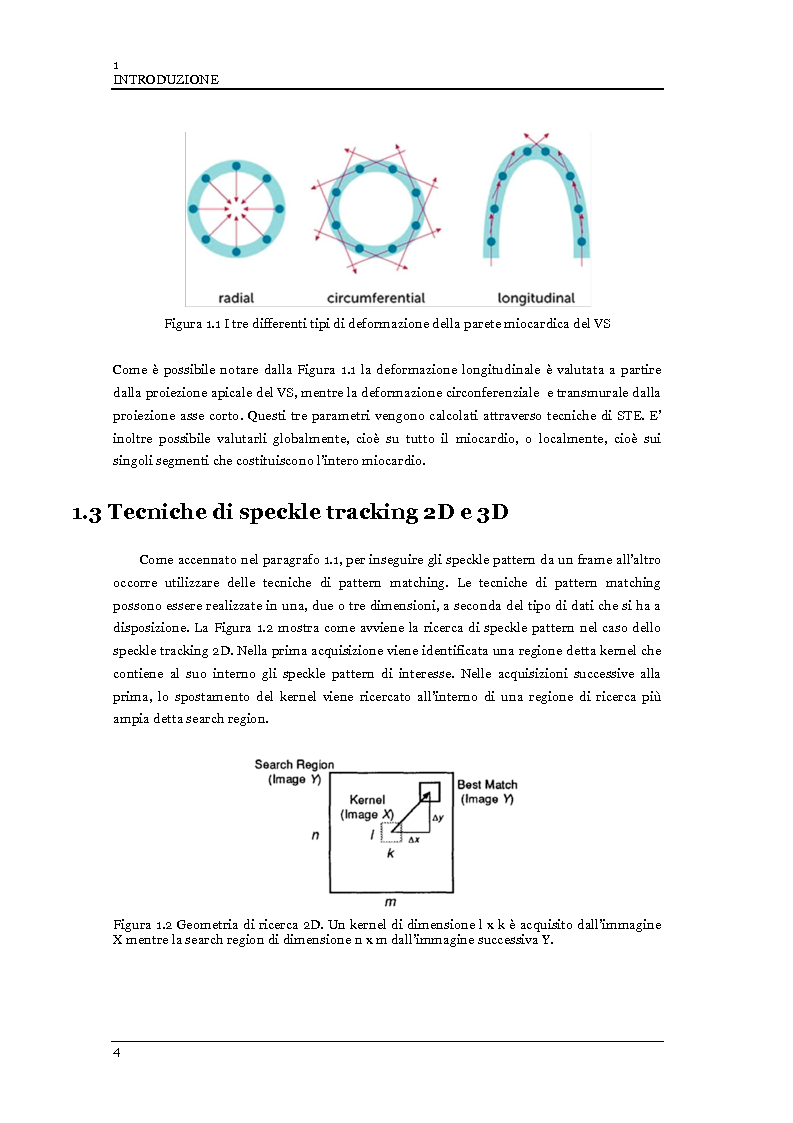 Anteprima della tesi: Speckle tracking 2-D in ecografia vascolare ed ecocardiografia: limitazioni pratiche ed ottimizzazione, Pagina 5