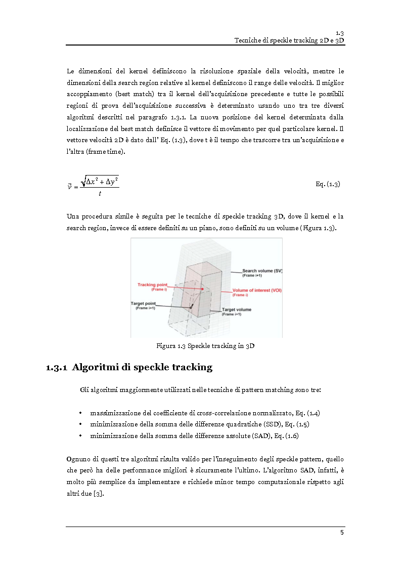 Anteprima della tesi: Speckle tracking 2-D in ecografia vascolare ed ecocardiografia: limitazioni pratiche ed ottimizzazione, Pagina 6