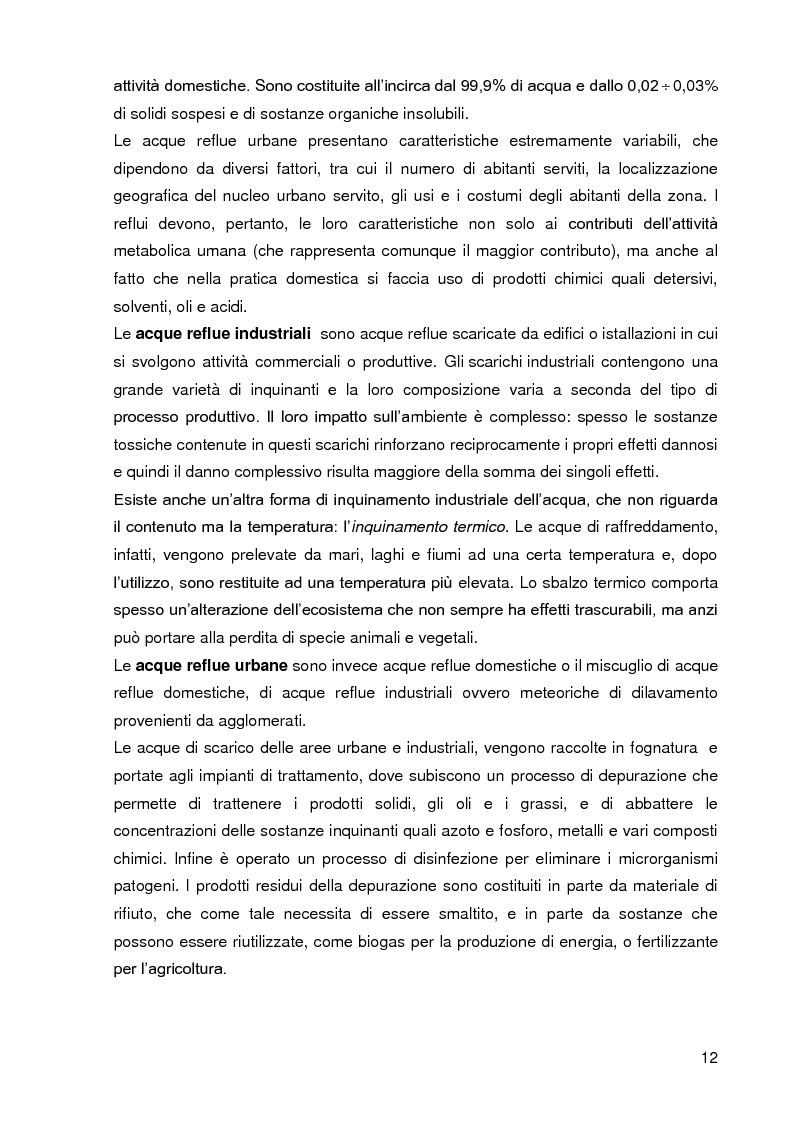 Anteprima della tesi: Bacini di trattamento e aree umide artificiali per la realizzazione di eco-sistemi filtro, Pagina 10