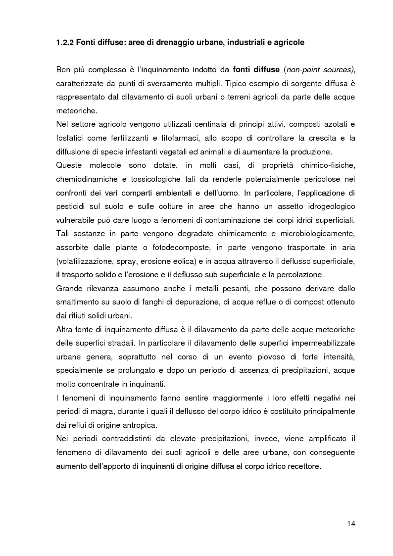 Anteprima della tesi: Bacini di trattamento e aree umide artificiali per la realizzazione di eco-sistemi filtro, Pagina 12