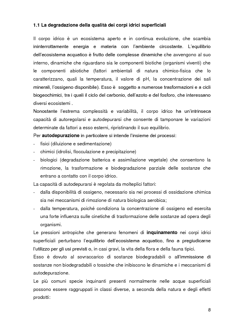 Anteprima della tesi: Bacini di trattamento e aree umide artificiali per la realizzazione di eco-sistemi filtro, Pagina 6