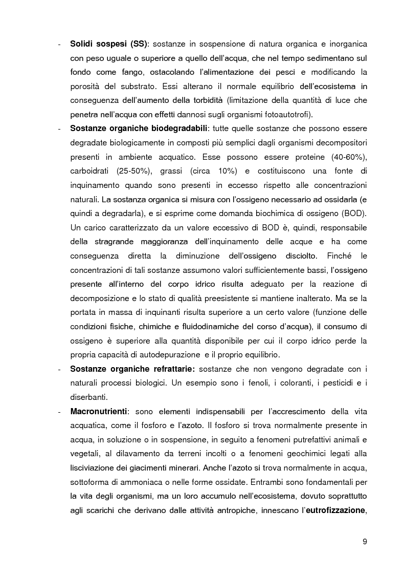 Anteprima della tesi: Bacini di trattamento e aree umide artificiali per la realizzazione di eco-sistemi filtro, Pagina 7