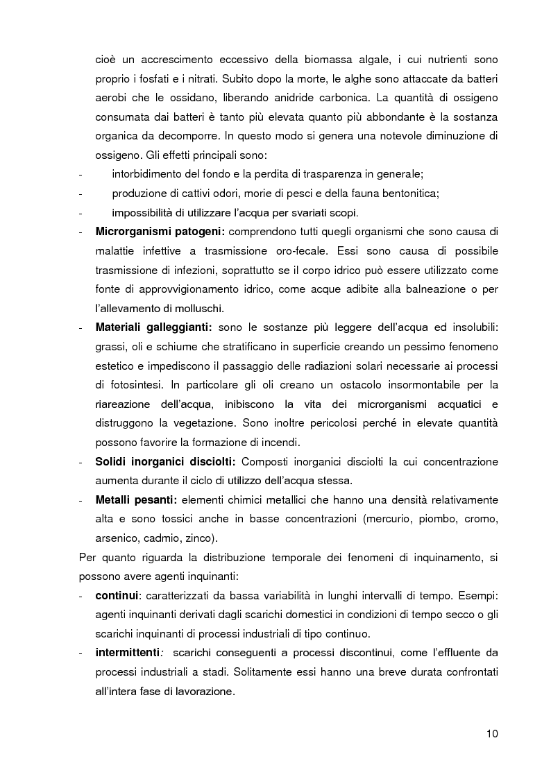 Anteprima della tesi: Bacini di trattamento e aree umide artificiali per la realizzazione di eco-sistemi filtro, Pagina 8