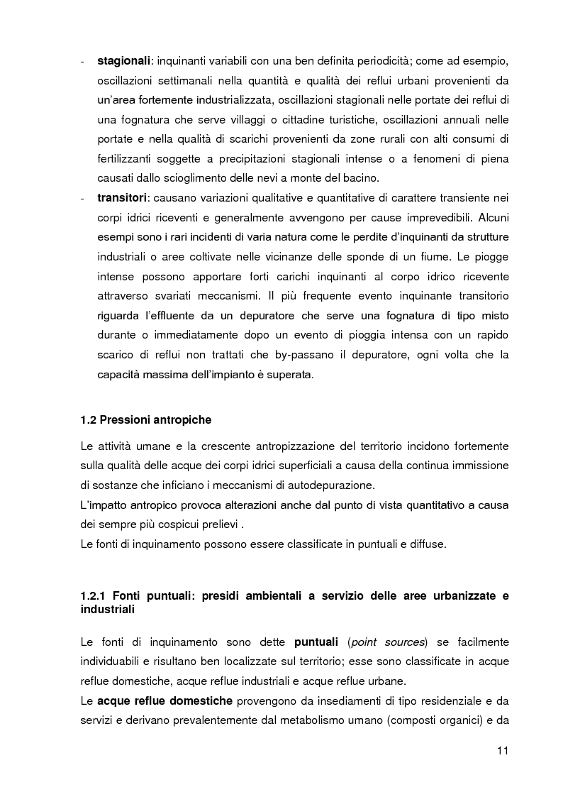 Anteprima della tesi: Bacini di trattamento e aree umide artificiali per la realizzazione di eco-sistemi filtro, Pagina 9