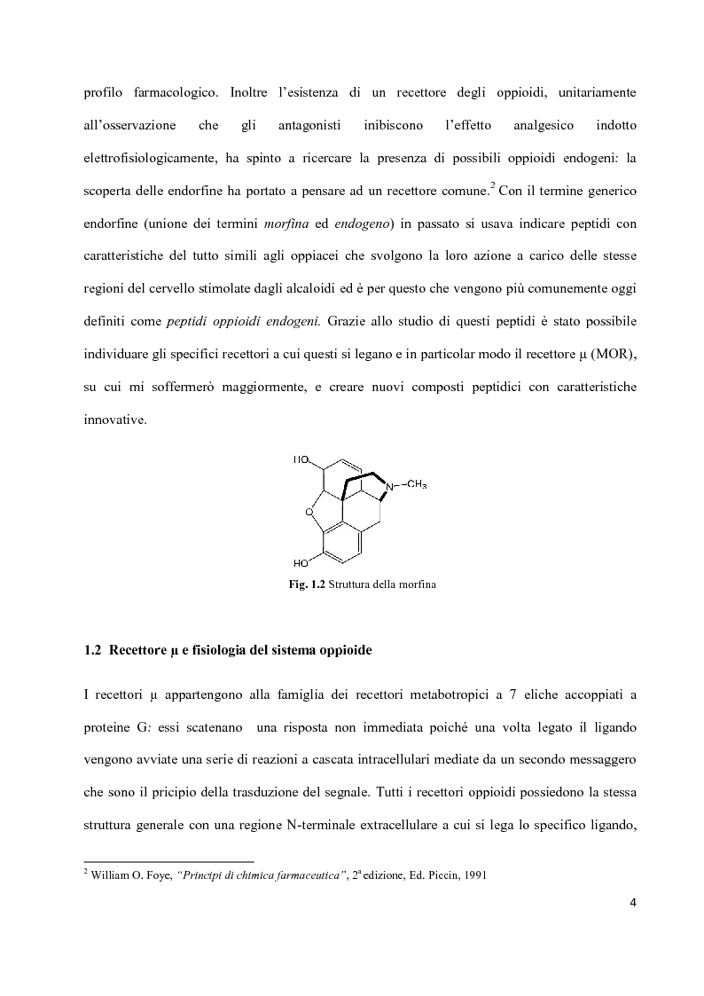 Anteprima della tesi: Sintesi di peptidi attivi verso MOR e studio dell’interazione ligando-recettore, Pagina 3