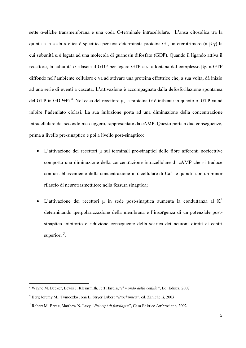 Anteprima della tesi: Sintesi di peptidi attivi verso MOR e studio dell’interazione ligando-recettore, Pagina 4