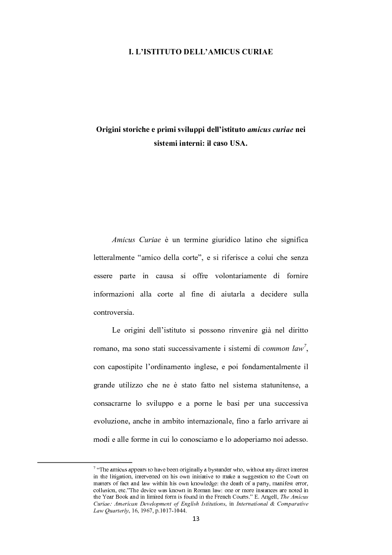 Anteprima della tesi: L’ istituto dell'amicus curiae nella funzione giurisdizionale internazionale, Pagina 12