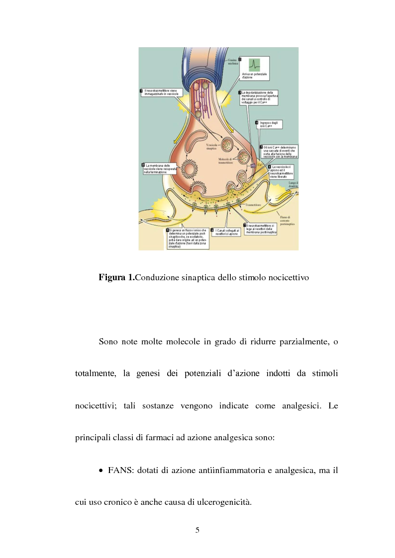 Anteprima della tesi: Sintesi di composti a nucleo pirrolico della serie n-metil-2-etil pirrolidinica ad attività cannabinomimetica, Pagina 3