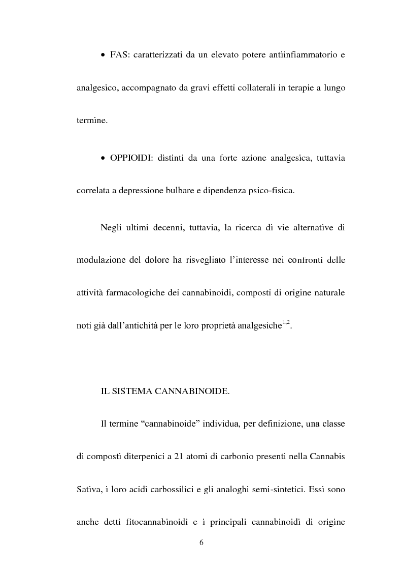 Anteprima della tesi: Sintesi di composti a nucleo pirrolico della serie n-metil-2-etil pirrolidinica ad attività cannabinomimetica, Pagina 4