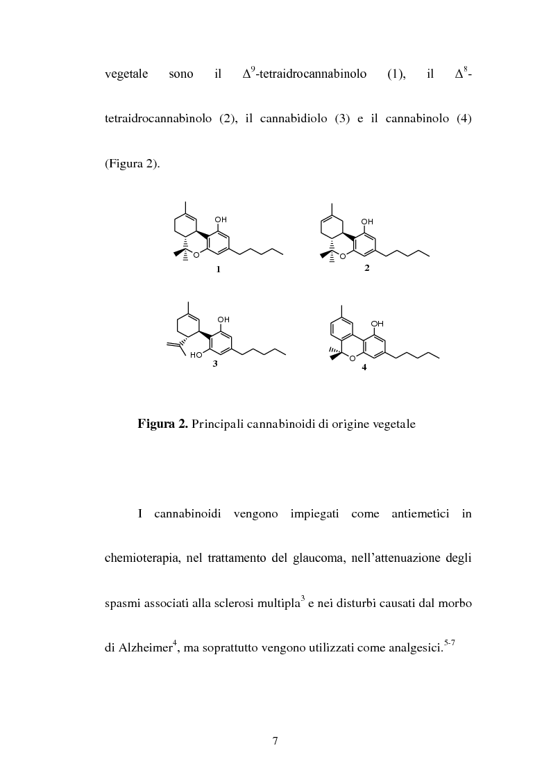 Anteprima della tesi: Sintesi di composti a nucleo pirrolico della serie n-metil-2-etil pirrolidinica ad attività cannabinomimetica, Pagina 5
