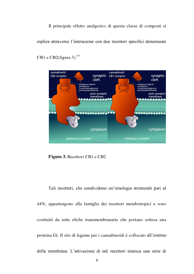 Anteprima della tesi: Sintesi di composti a nucleo pirrolico della serie n-metil-2-etil pirrolidinica ad attività cannabinomimetica, Pagina 6